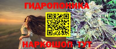 гидропоника Малгобек