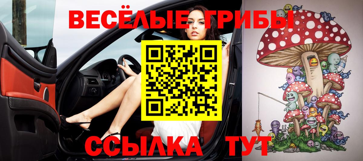 Псилоцибиновые грибы GOLDEN TEACHER  Вход с VPN  Славянск-на-Кубани 